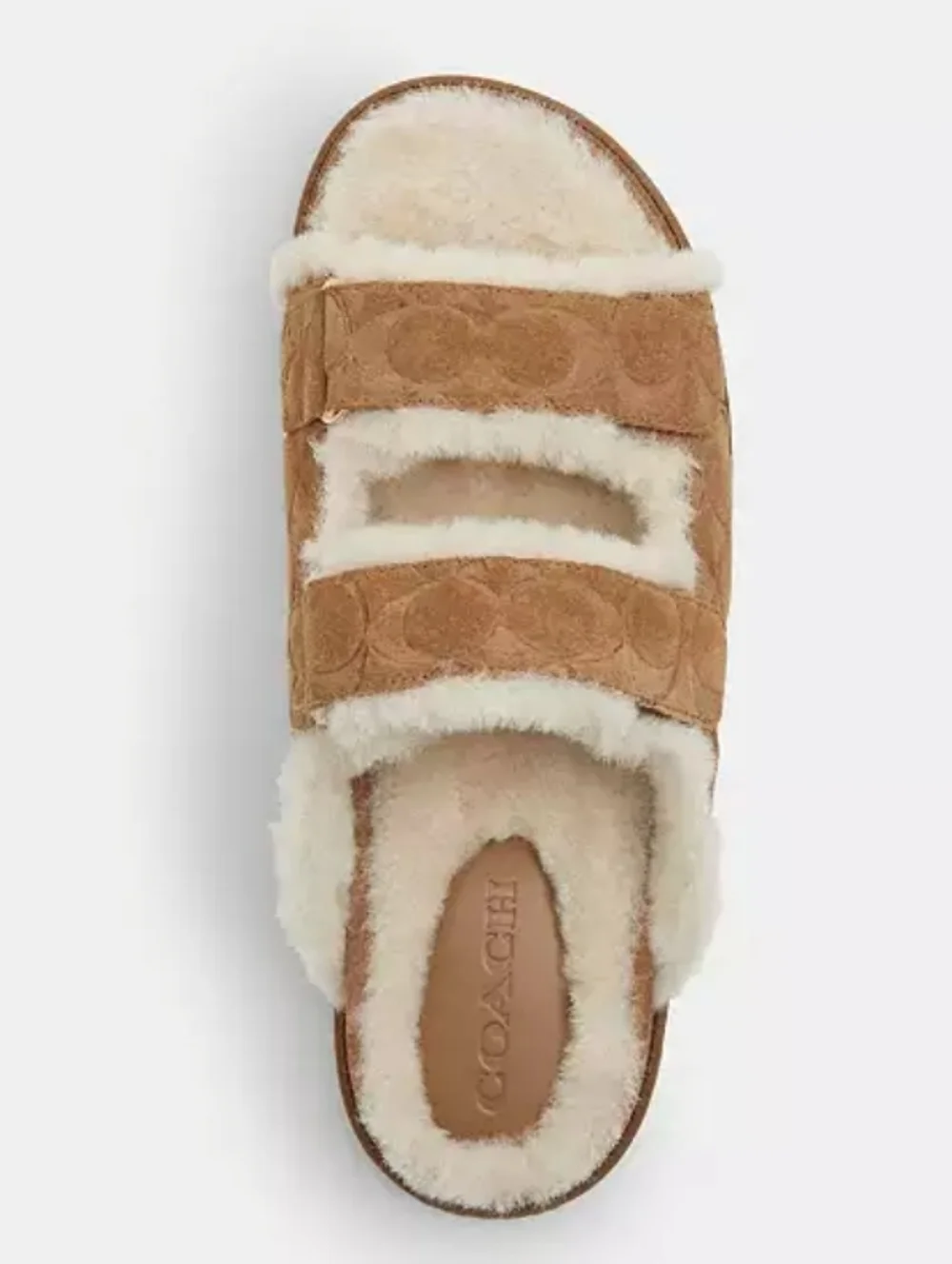 Coach Slides - Picture 10 of 10